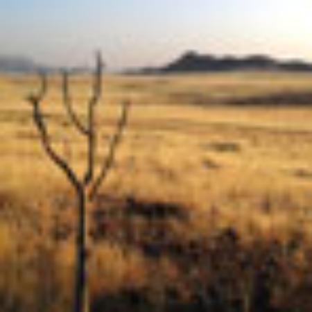 Bar Pizzeria 24h Dadando